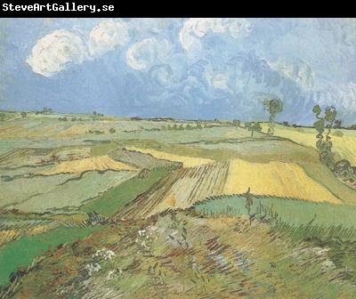 Vincent Van Gogh Wheat Fields at Auvers under Clouded Sky (nn04)